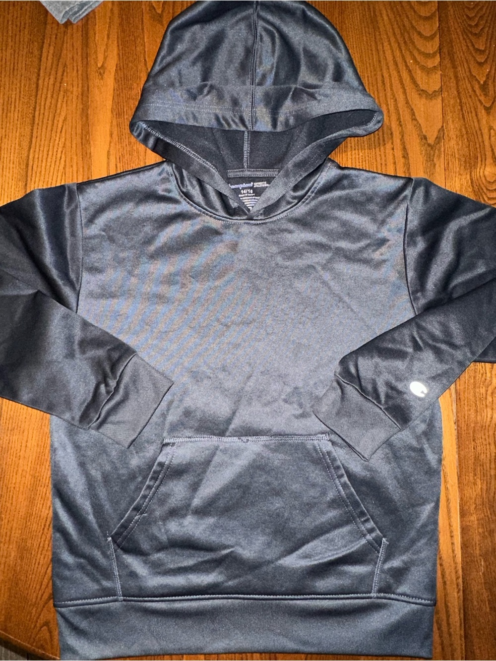 Champion Hooded Sweatshirt